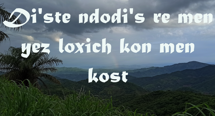 Baner Baner